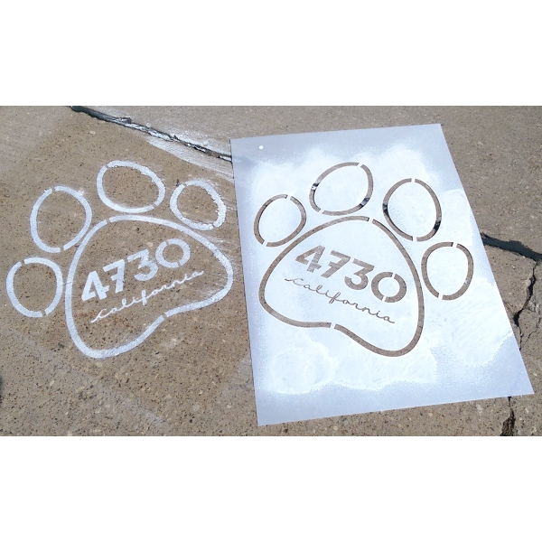 23080362